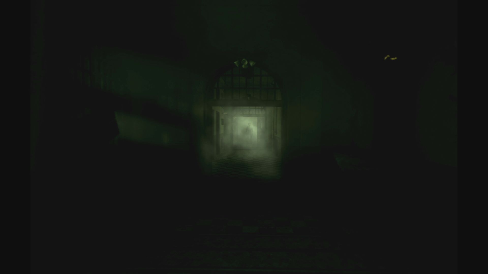 The Inpatient